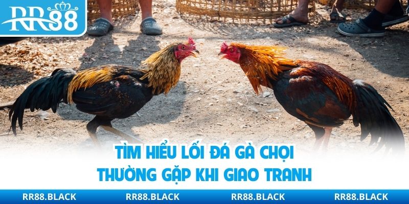 Tìm hiểu lối đá gà chọi thường gặp khi giao tranh